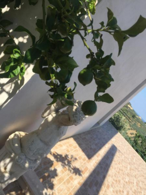Vista Vasto